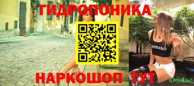 молекула духа Северобайкальск