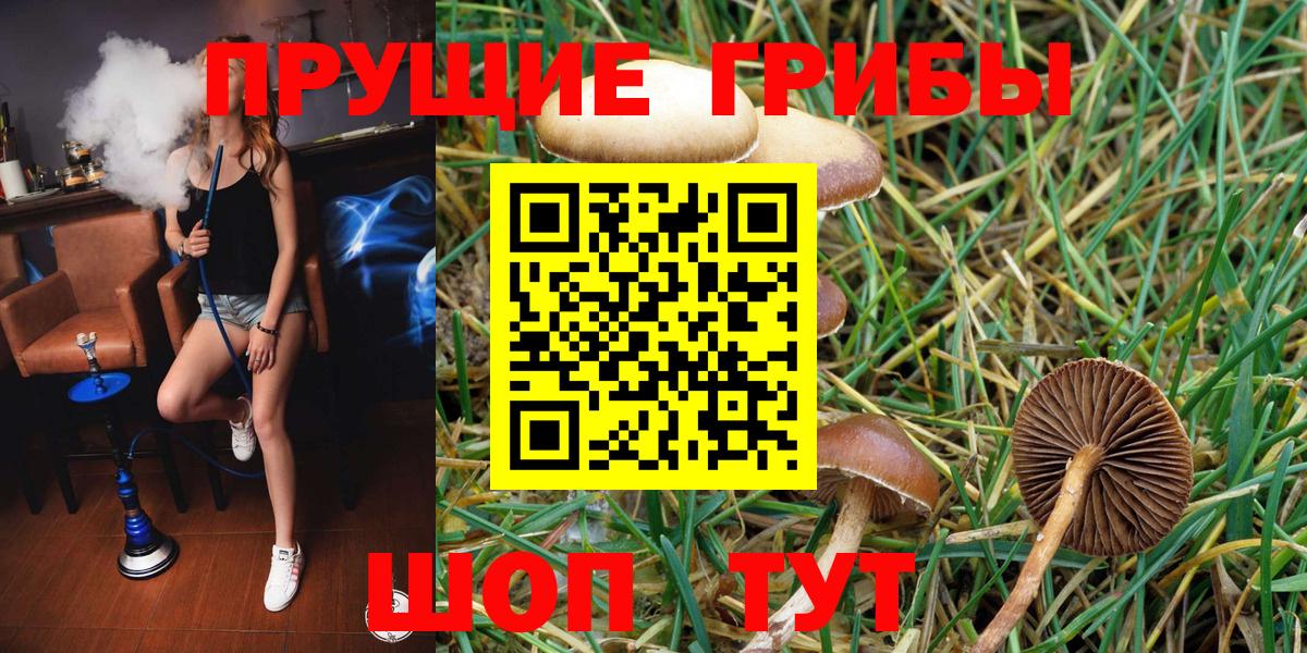 Псилоцибиновые грибы Cubensis  Галлюциногенные грибы MAGIC MUSHROOMS  Вход с VPN  Сатка 