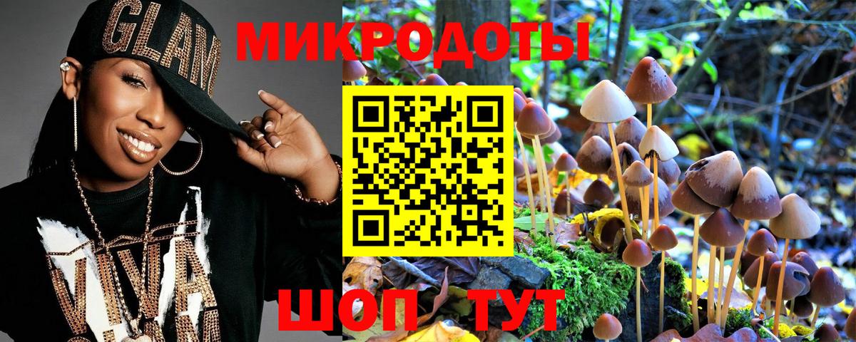 Псилоцибиновые грибы Psilocybe Сатка